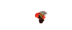 Pan African Hotel